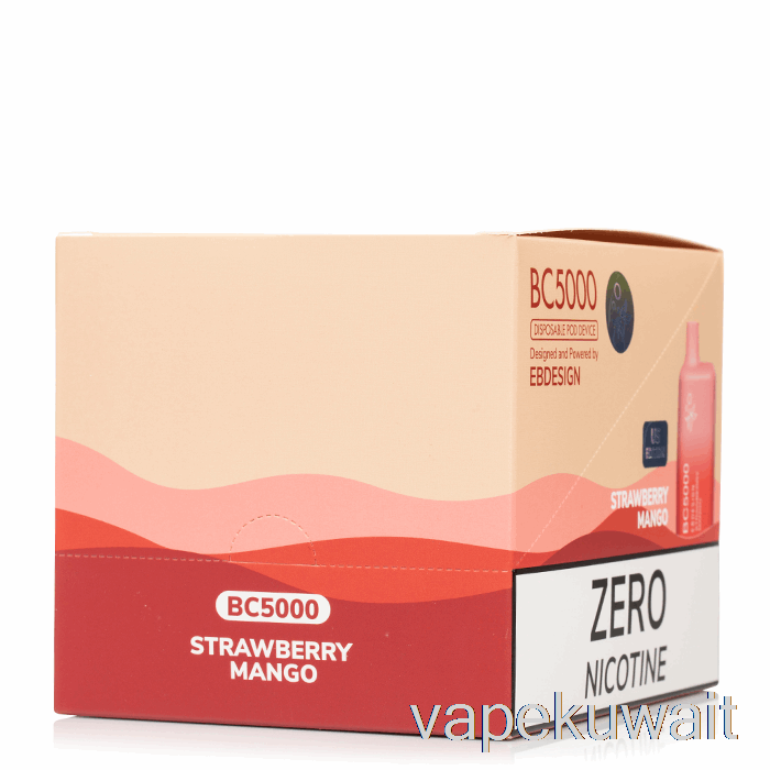 Bc5000 0% صفر نيكوتين يمكن التخلص منها (10 عبوات) مجموعات Vape Pod